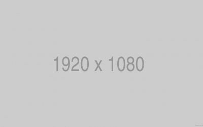 Mauris eleifend scelerisque quam tellus vita